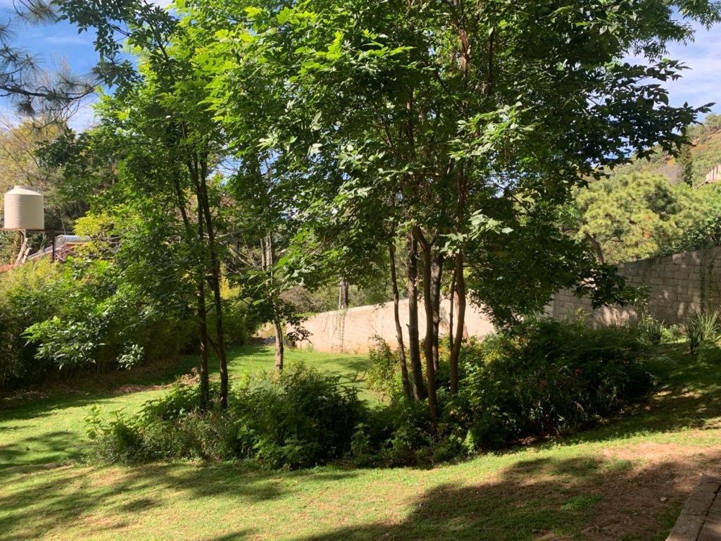 Majestic Residence With Views Of The Lake And Woods! فالي دي برافو المظهر الخارجي الصورة